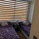 Vina Del Mar, Departamento Costa Renaca 181