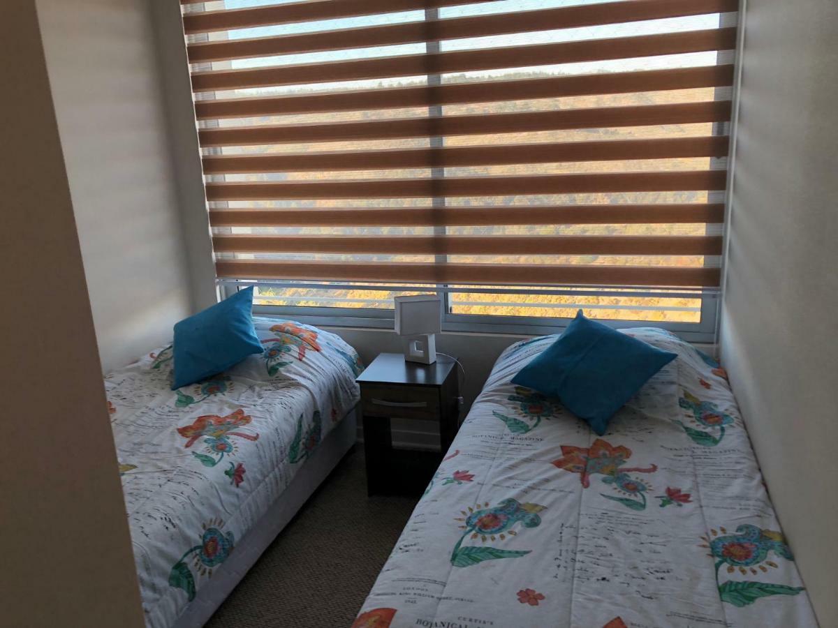 Apartamento Vina Del Mar, Departamento Costa Renaca 181